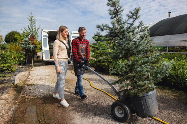 Best Residential Tree Removal  in Sylvan Lake, MI